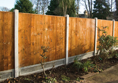 Feather Edge Fence